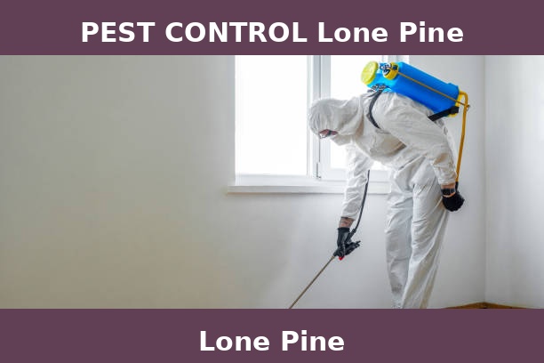 PEST CONTROL Lone Pine